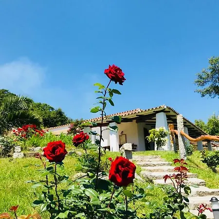 Rosi Ruj Villa Cannigione