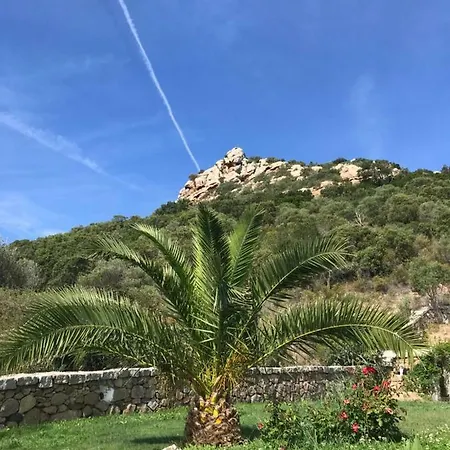 Rosi Ruj Cannigione