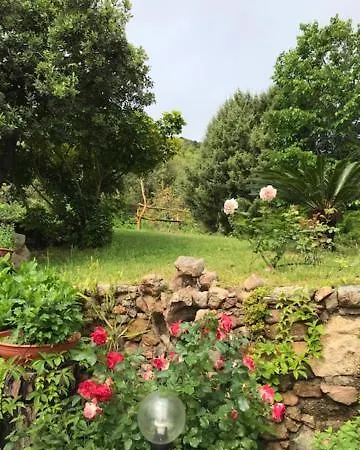 Villa Rosi Ruj